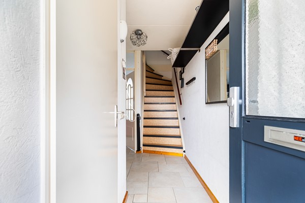 Albert Schweitzererf 6_08.jpg